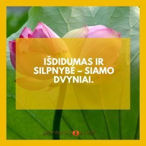 isdidumas ir silpnybe