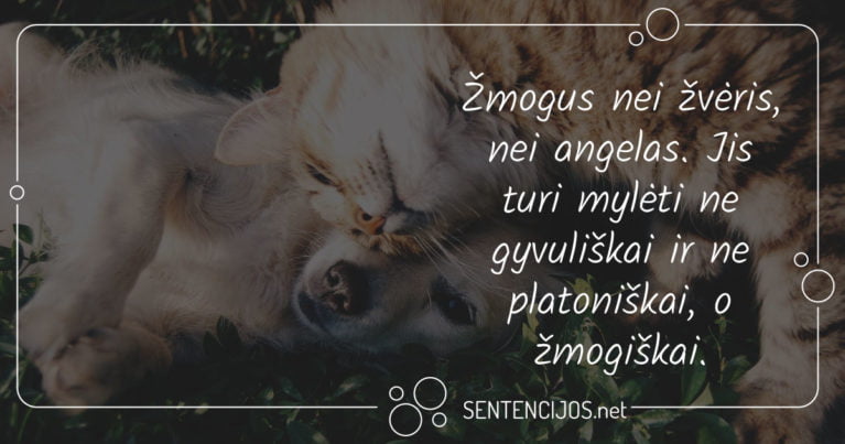 mintys apie meile