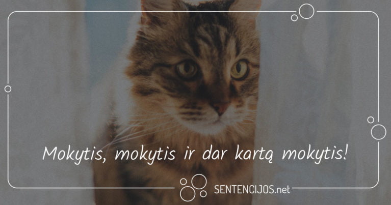 mintys