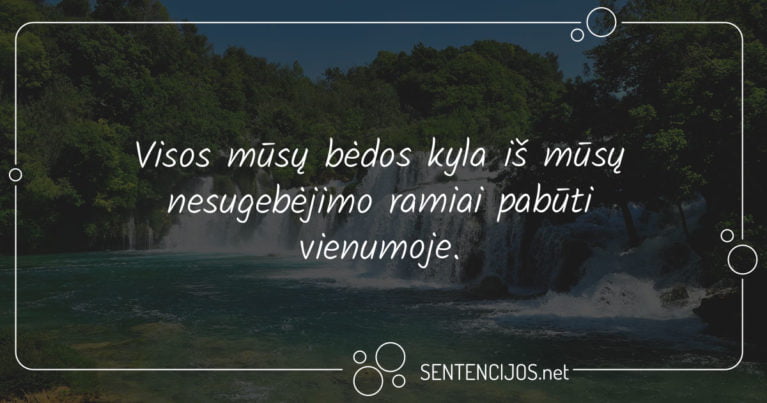 mintys apie vienatve
