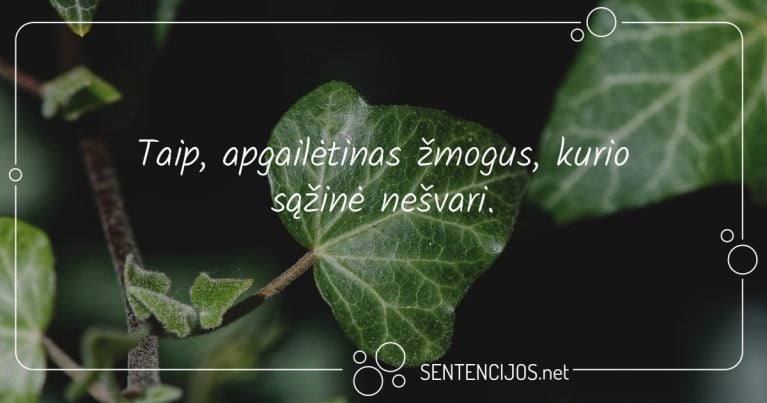 mintys