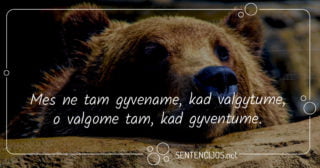 sentencijos