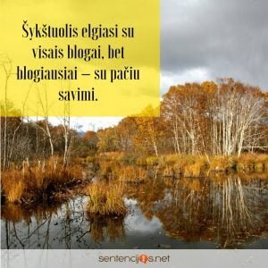 sentencijos