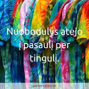 nudazyti marskineliai