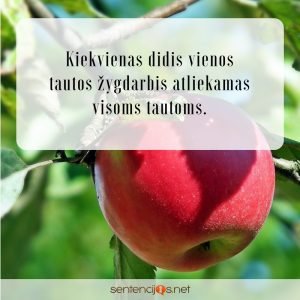 sentencijos