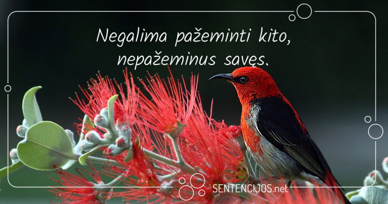 mintys apie isminti