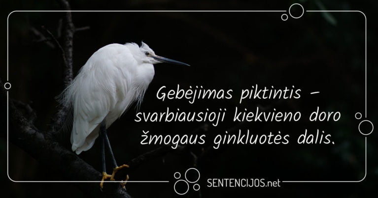 mintys apie pykti