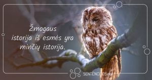 mintys apie istorija