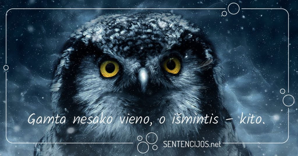 mintys apie gamta