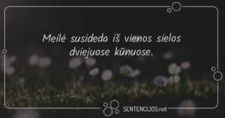 mintys apie meile