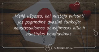 mintys apie meile