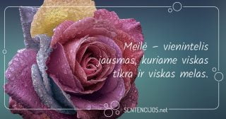 citatos apie meile