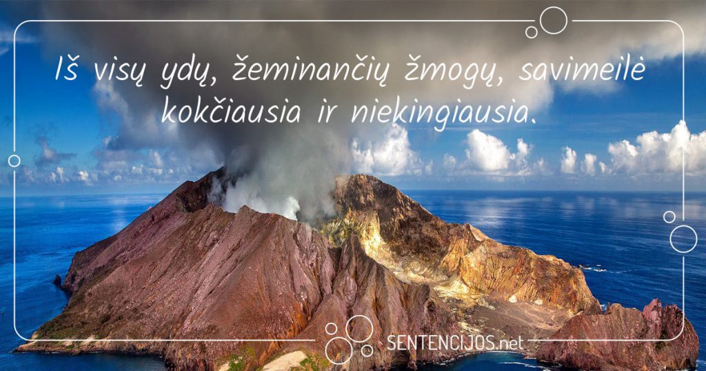 mintys apie iprocius