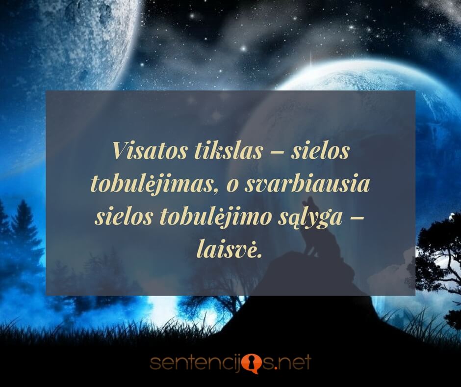 visatos tikslas