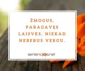zmogus ir laisve