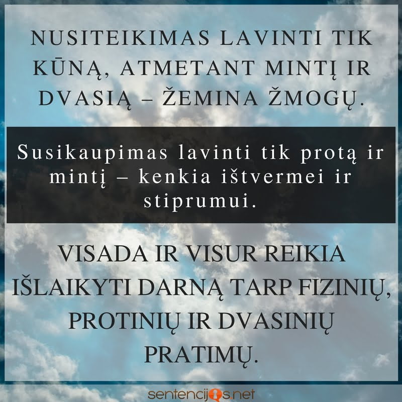 mintys, autorius