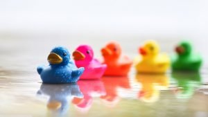 plaukiantys-anciukai