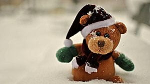 rudas-meskiukas-sniege