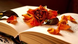 ziedlapiai-ant-knygos