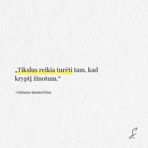 Gintaras Ignatavicius tikslas